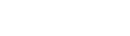 Roma Intelligence
