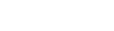 Roma Intelligence